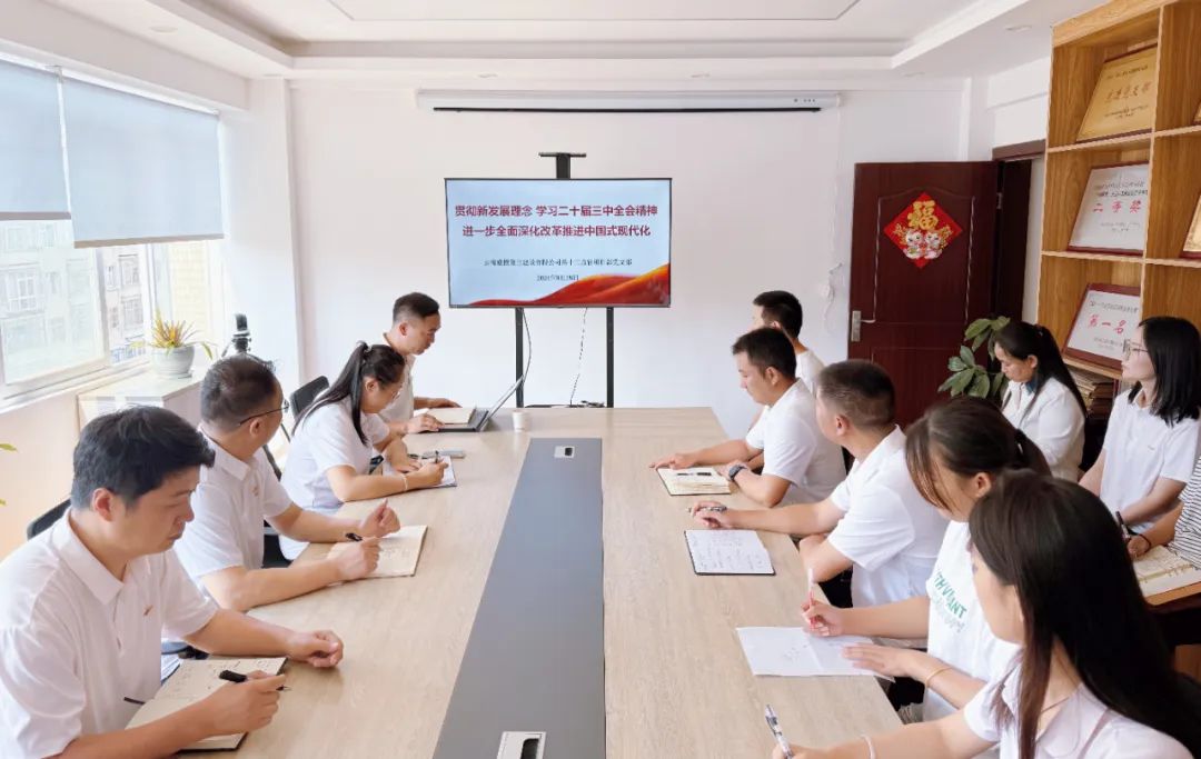 公司各單位深入學(xué)習(xí)黨的二十屆三中全會精神（二）